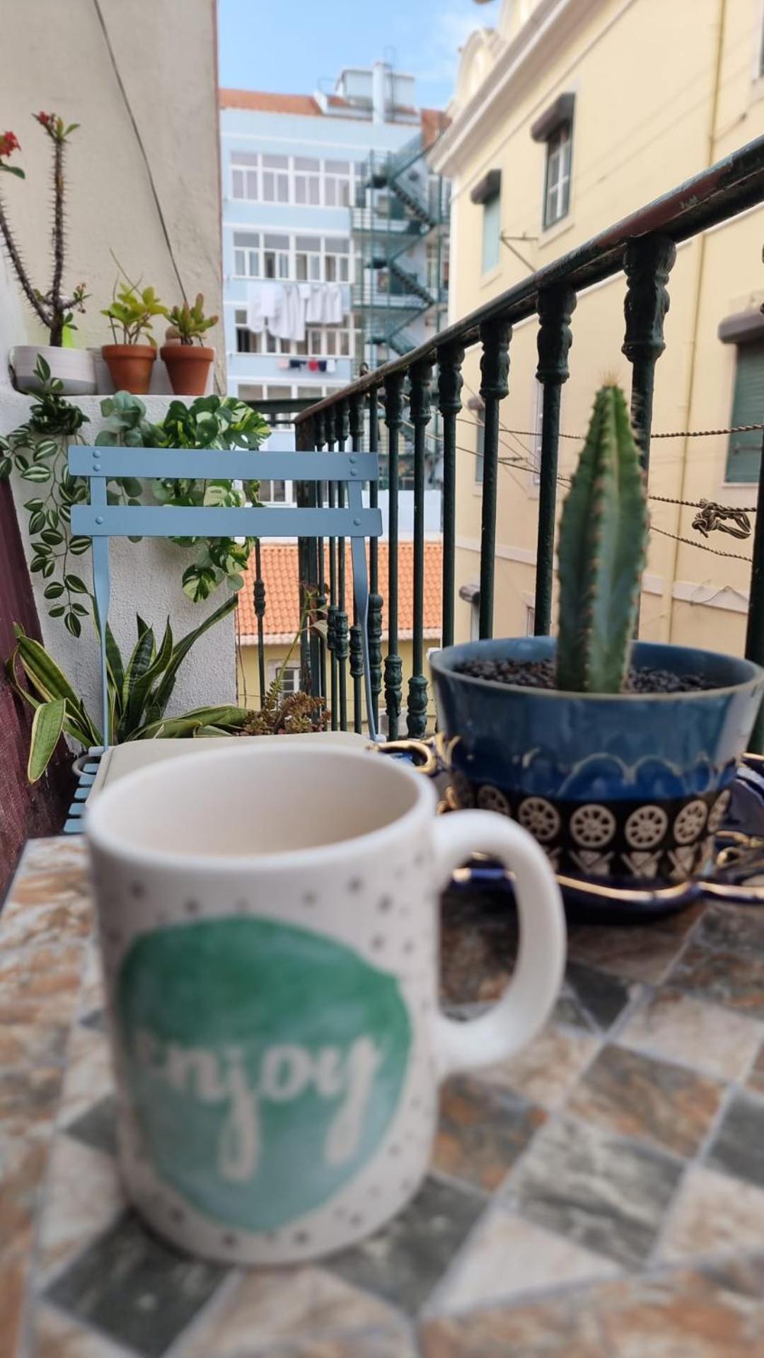 Charming To Rent Appartement *